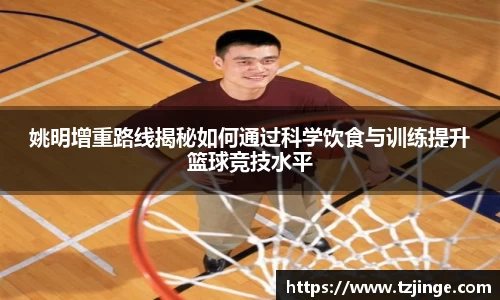 YY体育
