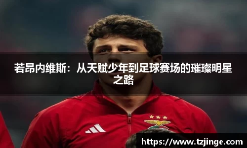 米乐M6