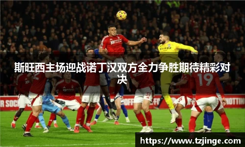 YY易游体育