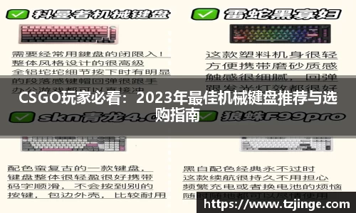 YY体育